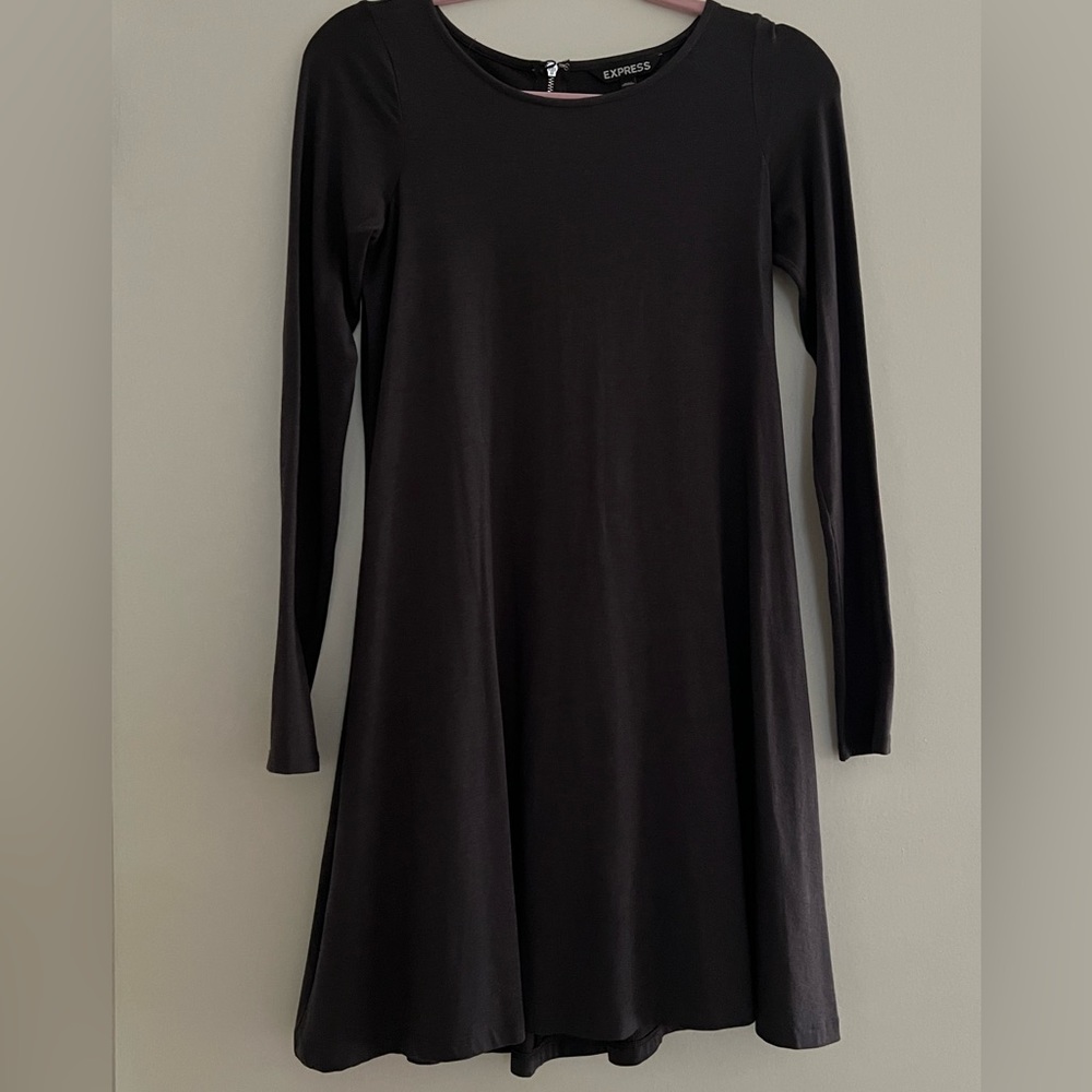 Express long sleeve flare dress